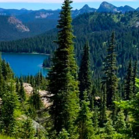 Meet your Posher, Bree! Open Minded to trades if interested. Happy Shopping 🛍 - Picture 6 of 15